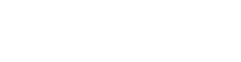 BFT Logo